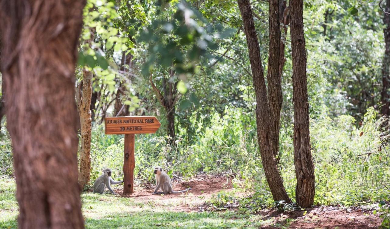 Kingly Bush Alojamento de Turismo Selvagem *